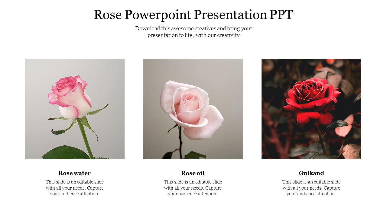 Rose Powerpoint Presentation PPT